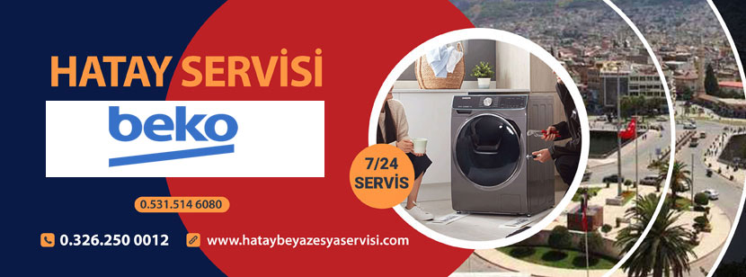 Kışlasaray Beko Servisi 