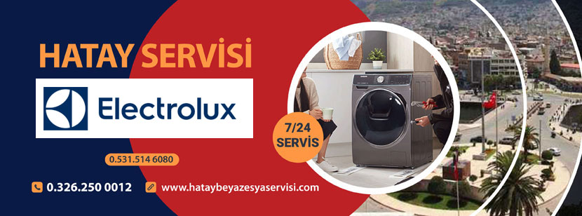 Antakya Electrolux Servisi