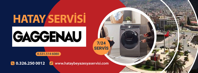 Avsuyu Gaggenau Servisi 